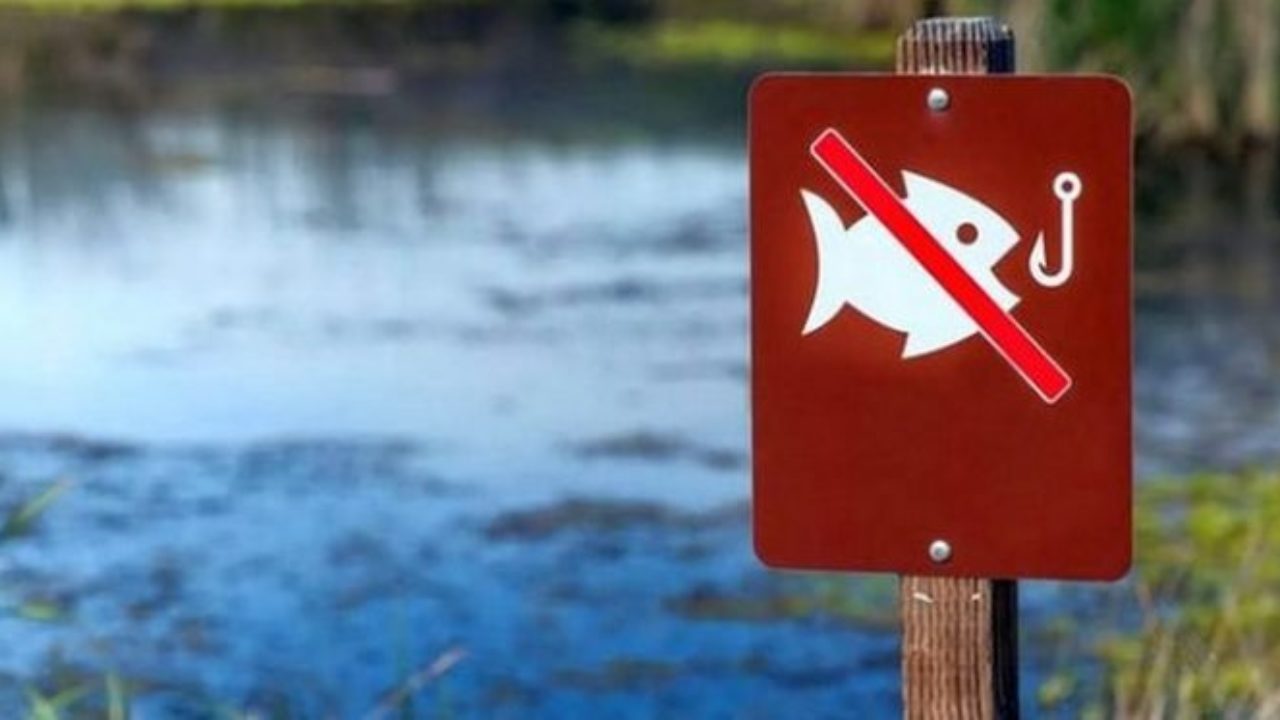 З 11 квітня на Хмельниччині стартує нерестова заборона на вилов водних біоресурсів