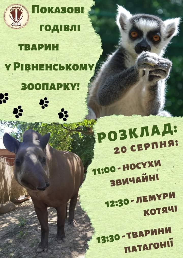 FB_IMG_1692351840510