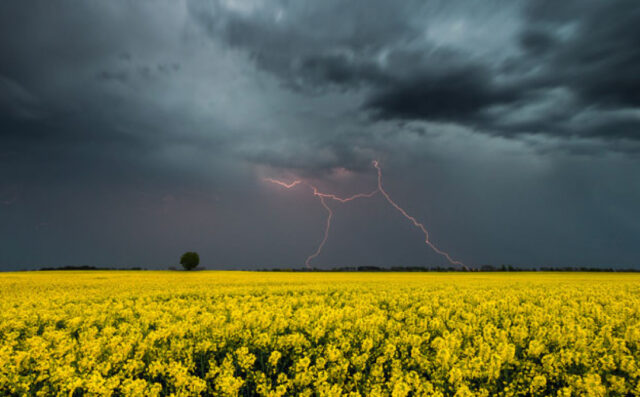 gallery-photo