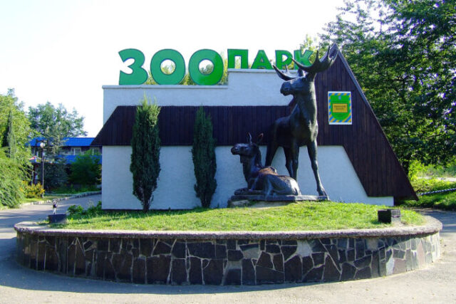 vhid_pelikany_rivnenskyj_zoopark-681x454