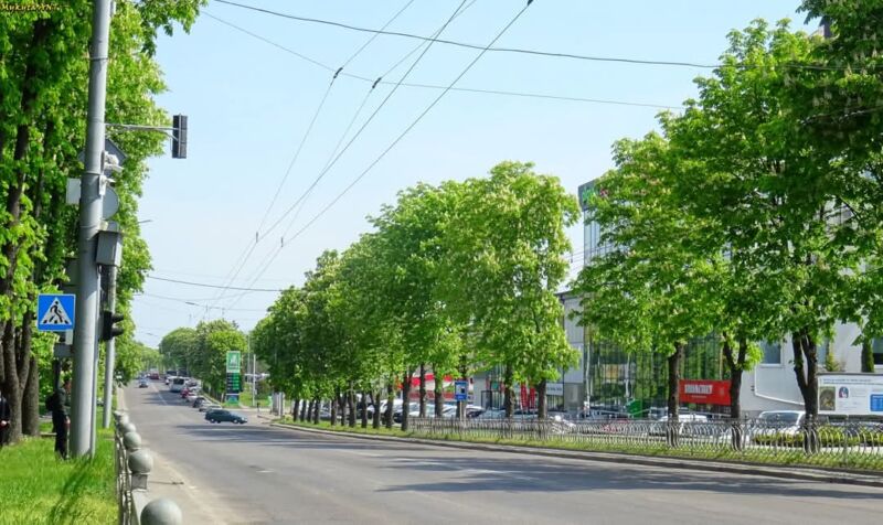 На Рівненщині