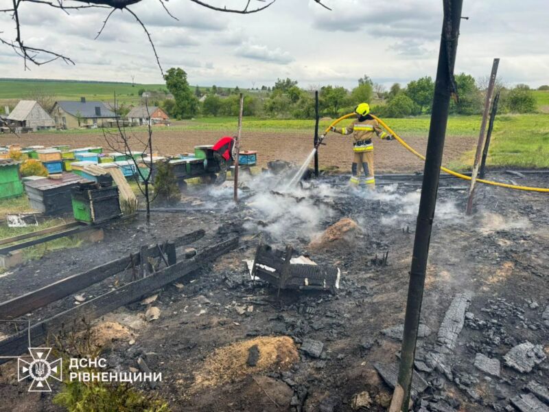 горіла пасіка