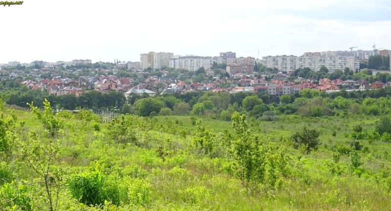 Погода