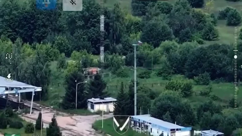 триколор