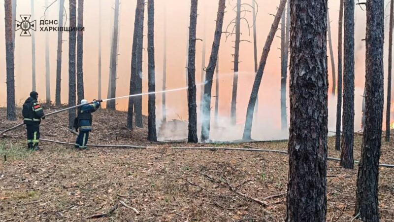 Масштабні лісові пожежі на Харківщині: що відомо станом на зараз (ФОТО) 1