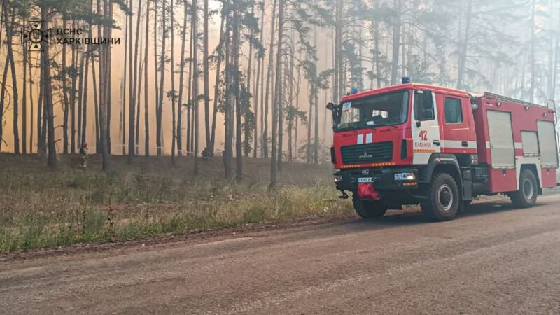 Масштабні лісові пожежі на Харківщині: що відомо станом на зараз (ФОТО) 3