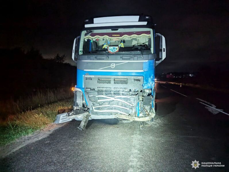 На Рівненщині водій наїхав на косулю й врізався у вантажівку: наслідки — критичні 1