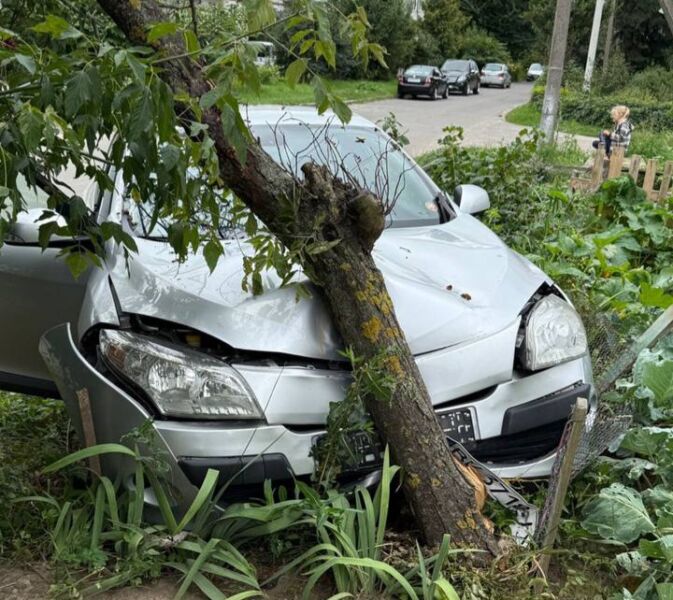 влетів у дерево