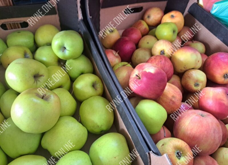 Яблучний Спас 2025: у скільки цьогоріч обійдеться фруктовий кошик у Рівному 1
