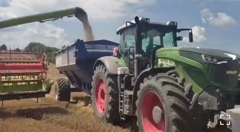 ранніх зернових ранніх зернових