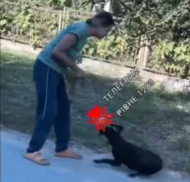тягнула собаку