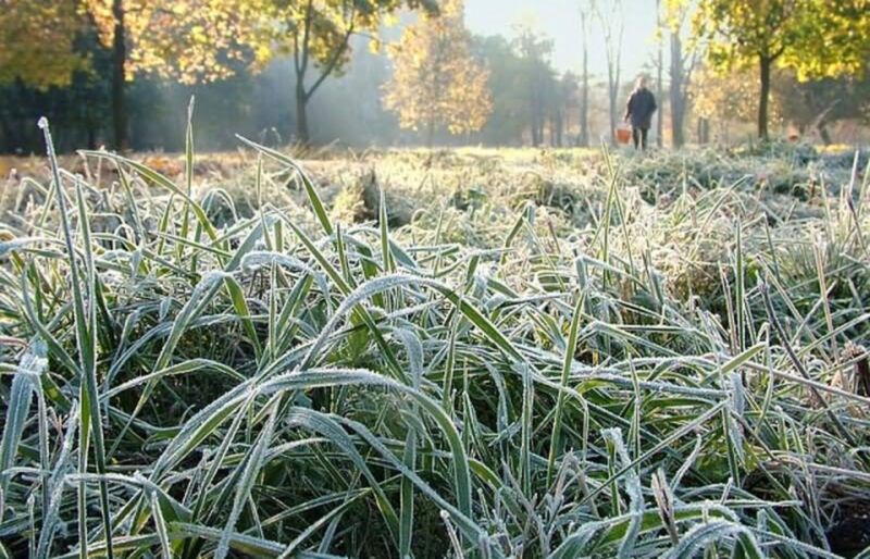 Заморозки Заморозки