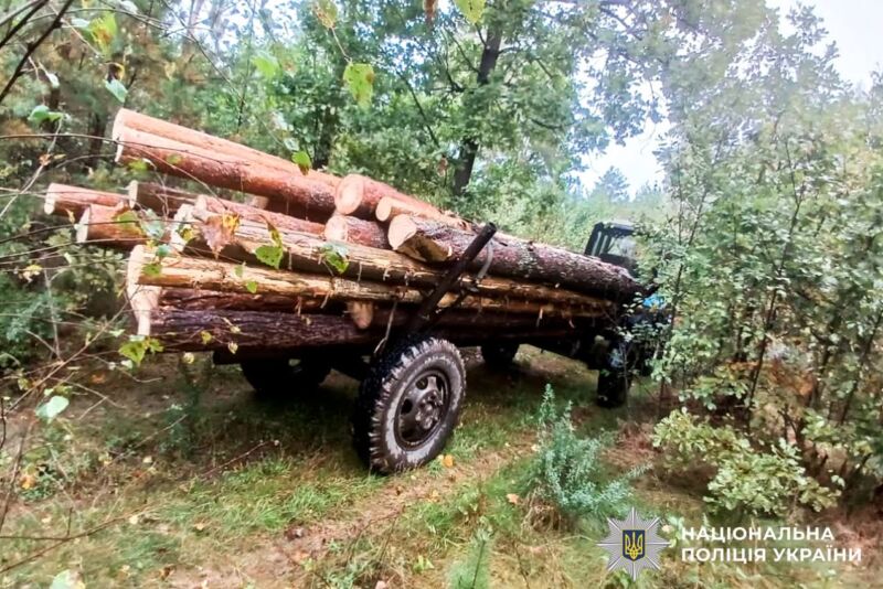 Поліція Рівненщини «накрила» чотири випадки незаконної вирубки деревини 1