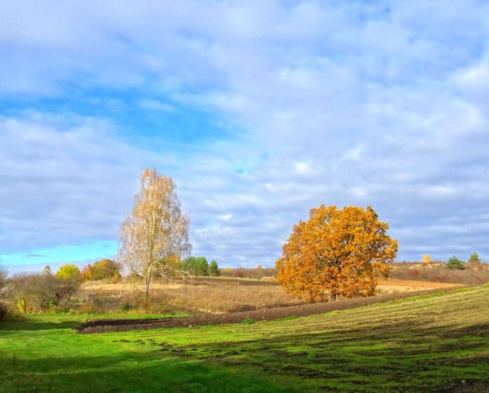 На Рівненщині