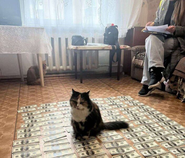 оформленням інвалідності