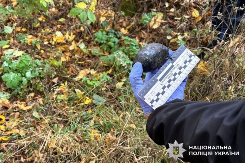 Кримінальна хроніка Рівненщини за тиждень 13