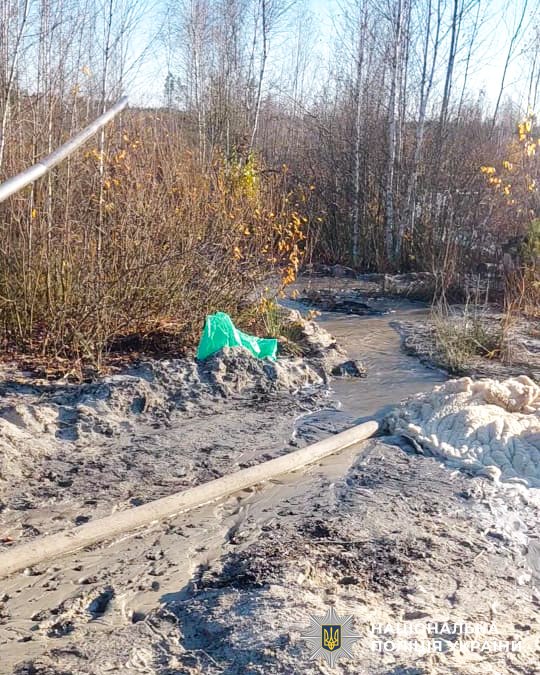 Поліція зловила бурштинокопачів у лісах Дубровиччини 1
