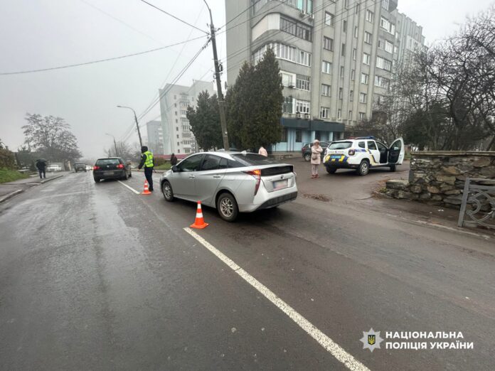 переходила дорогу переходила дорогу