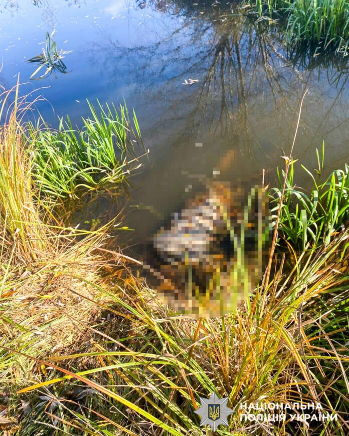 IMG_20251114_185333_984