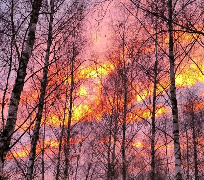 20260213_212737 День святого Валентина