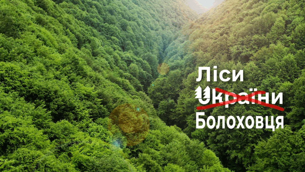Золотий мільярд Болоховця: як «реформа» знищила лісову галузь України 39