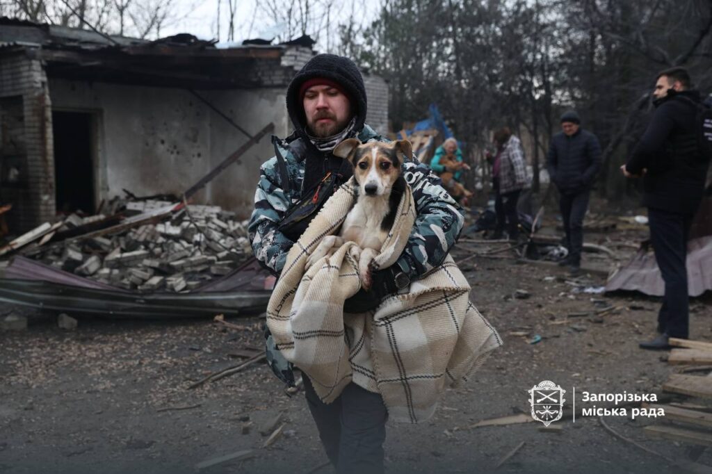 росіяни пошкодили собачий притулок у Запоріжжі: багато тварин постраждало 1