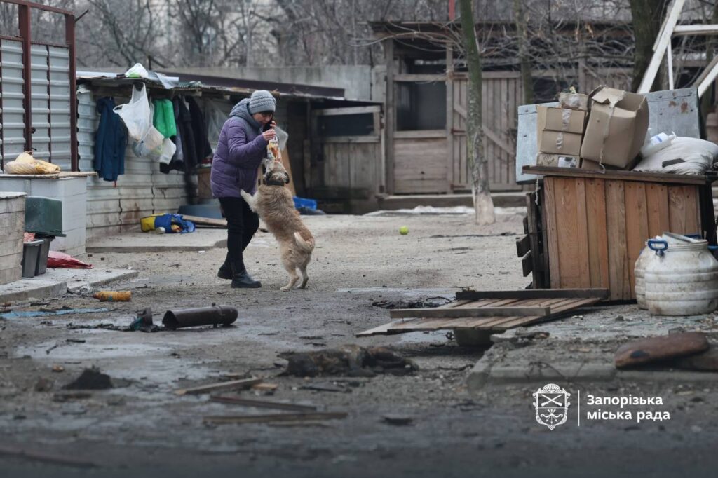 росіяни пошкодили собачий притулок у Запоріжжі: багато тварин постраждало 2
