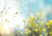 Погода у Рівненській області 5 березня: сонце, мороз і ожеледиця Погода у Рівненській області 5 березня