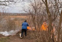 Палія сухої трави спіймали у Рівному: деталі інциденту Палія сухої трави спіймали у Рівному