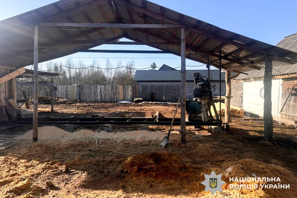 колоди деревини на місці незаконної порубки