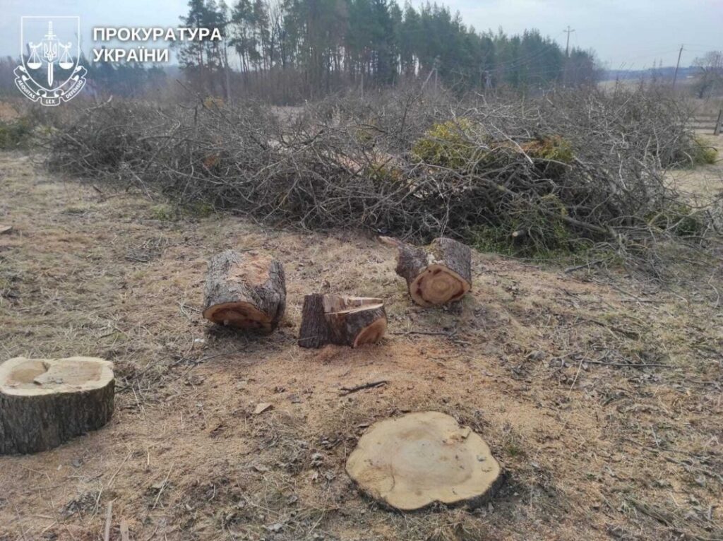 Кримінальні новини Рівненської області (23-28 березня) 4