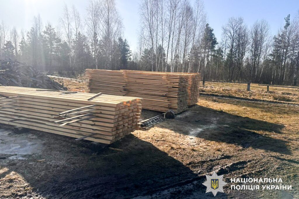 Незаконна порубка дерев