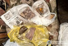 У Рівненській області викрили чоловіка на незаконному зберіганні бурштину