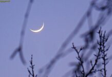 23 березня у Рівненській області: вдень +13°, без дощу 23 березня у Рівненській області