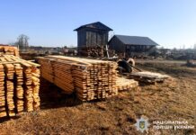 На Березнівщині викрили лісопорушників: вилучили понад 23 кубометри деревини На Березнівщині викрили лісопорушників