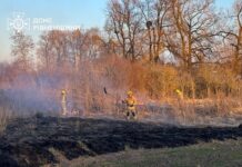Масові пожежі на Рівненщині: вигоріло понад 4 гектари сухої рослинності Масові пожежі