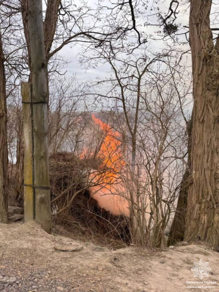 Палія сухої трави спіймали у Рівному: деталі інциденту 1 Пожежа сухої трави