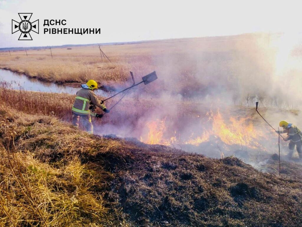 Рівненська область охоплена полум’ям: рятувальники ліквідували 26 пожеж 2