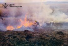 Рівненська область охоплена полум’ям: рятувальники ліквідували 26 пожеж Рівненська область охоплена полум’ям
