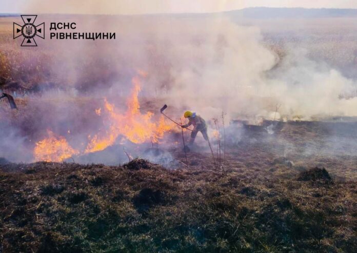Пожежі сухої трави рівне Рівненська область охоплена полум’ям