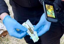 У Березному поліцейські затримали наркодилера Впіймали наркодилера