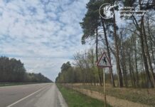 У Рівненській області збили червонокнижного лося