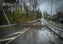 Смертельна негода в Україні: у 13 областях ліквідовують наслідки шторму негода в Україні
