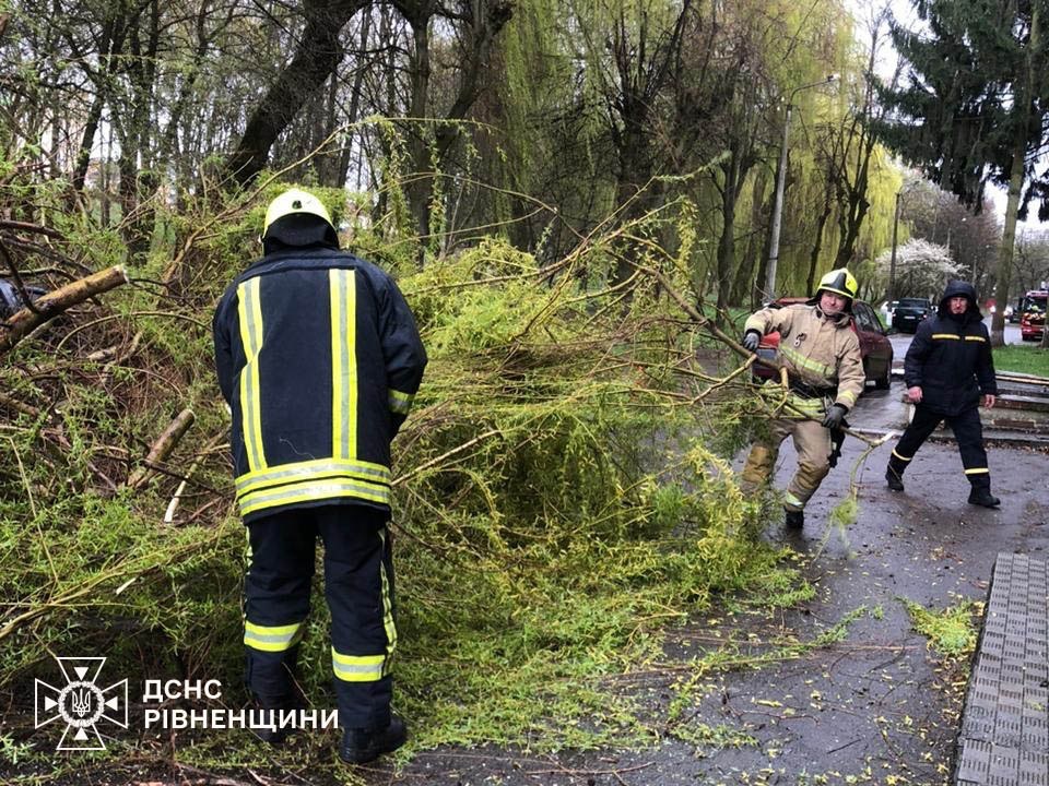 Повалені дерева на Соборній: у Рівному показали наслідки негоди 7 квітня 3 Ліквідація наслідків негоди у Рівному
