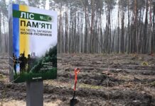 У Рівненській області висадили «Ліс пам’яті» на честь загиблого воїна Вадима Плюща У Рівненській області, Вадима Плюща