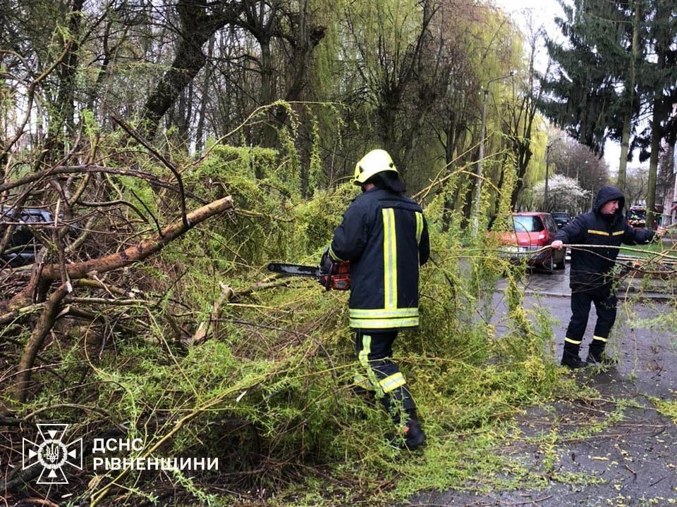 Повалені дерева на Соборній: у Рівному показали наслідки негоди 7 квітня 1 Наслідки негоди 7 квітня