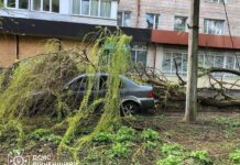 Повалені дерева на Соборній: у Рівному показали наслідки негоди 7 квітня наслідки негоди