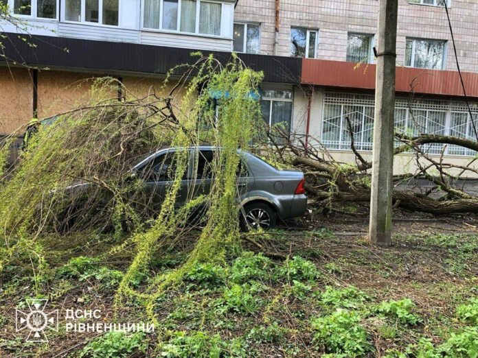 Негода у Рівному наслідки негоди