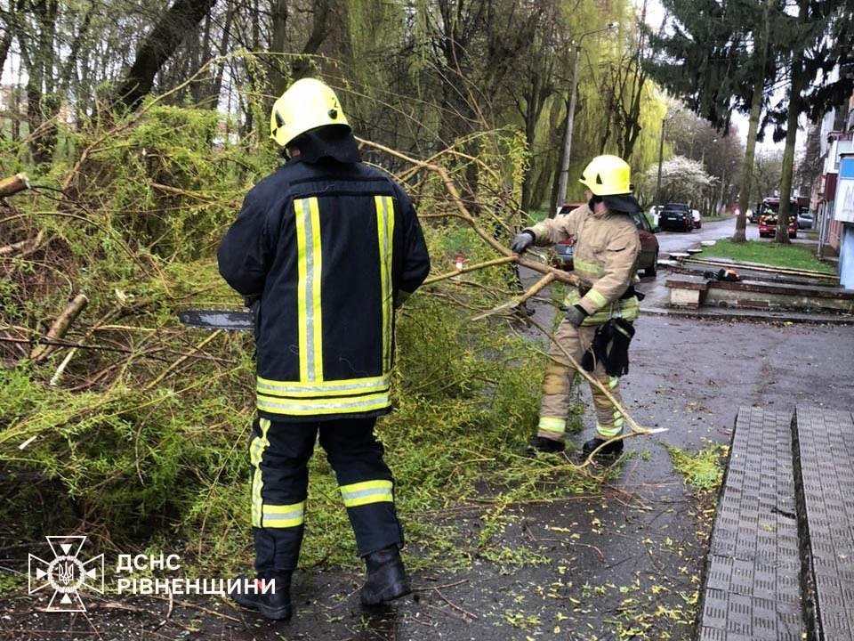 Повалені дерева на Соборній: у Рівному показали наслідки негоди 7 квітня 2 Повалені дерева рівне
