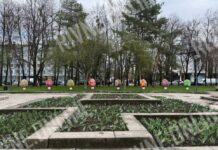 У центрі Рівного встановили писанковий сад Писанковий сад Рівне